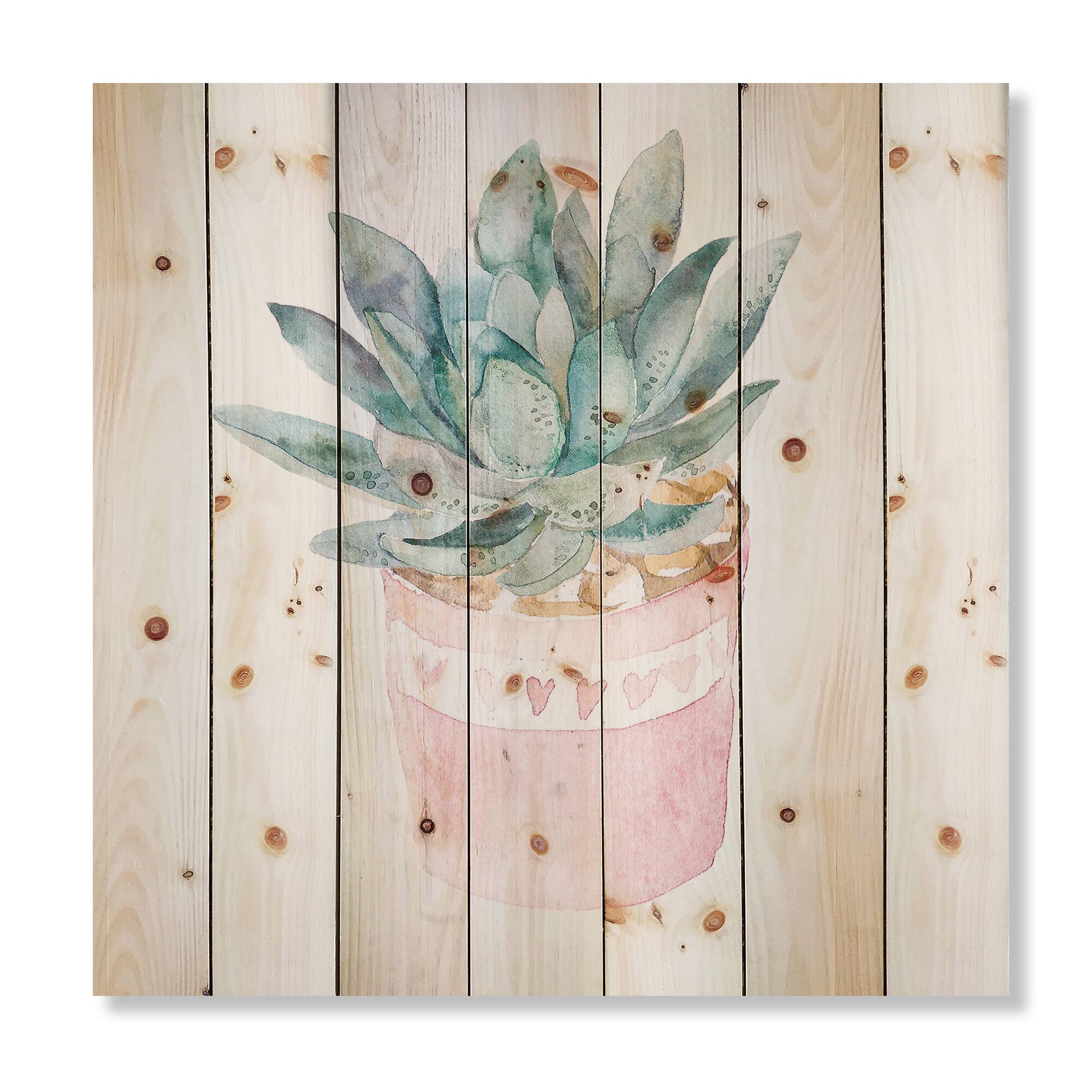 Designart - Cactus and Succulent House Plants II
